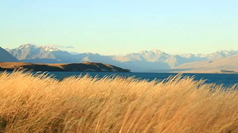 Grass waving in the wind with mountains in the distance. Stock Footage 34343905