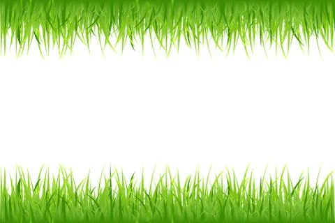 Grass on white background Stock Illustration