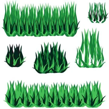 Grass on white background Illustrazione stock