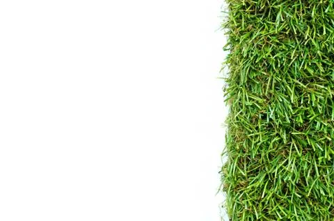 Grass on a white background Stock Photos