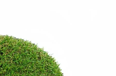 Grass on a white background Stock Photos