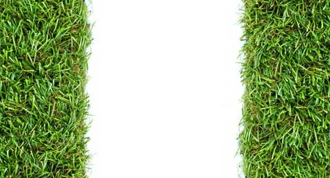 Grass on a white background Foto stock
