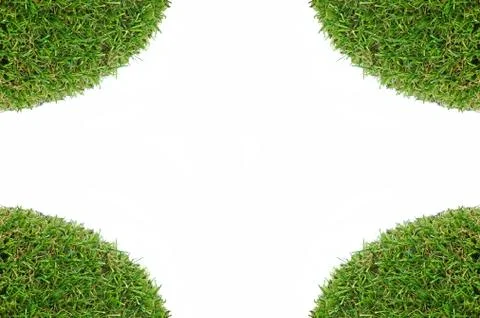 Grass on a white background Foto stock