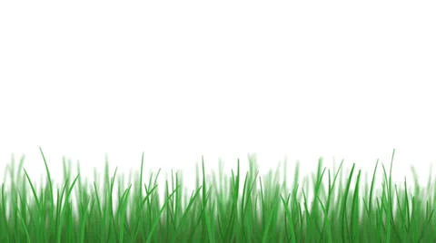 Grass on white, loopable Stock Footage 37314972