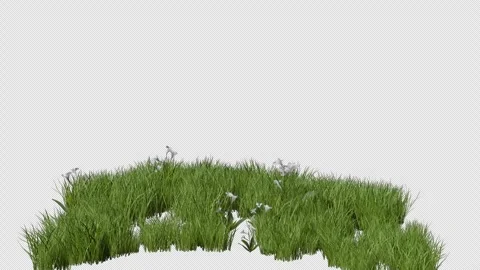 Grass Wind and Flower Stock Footage 311054213