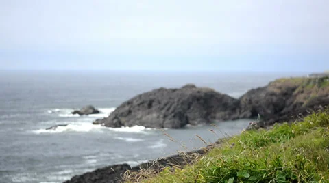 Grass, Wind and Shore Stock Footage 32216760