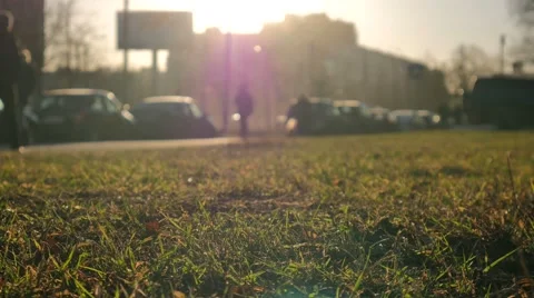 Grass at Wind on the Background of Walking People 스톡 동영상 58697033