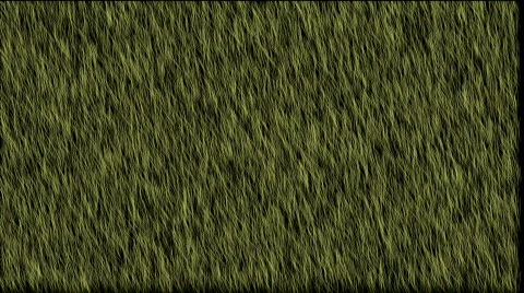 Grass in the wind - digital animation Stock-Footage 475899