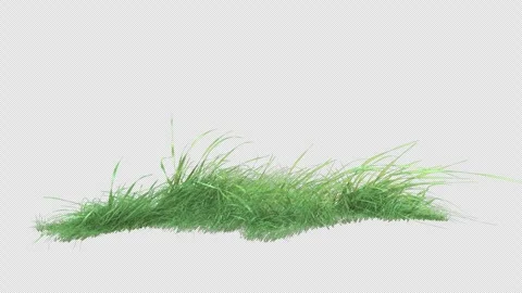 Grass wind fast loop on alpha Stock Footage 276521691