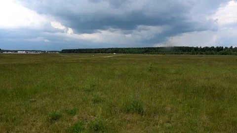 Grass on the wind in the field. Belarus Stock Footage 85528738