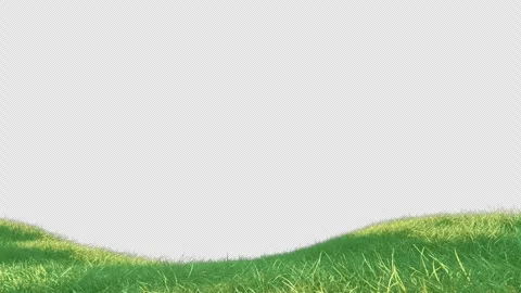 Grass wind loop on alpha Stock Footage 254149733