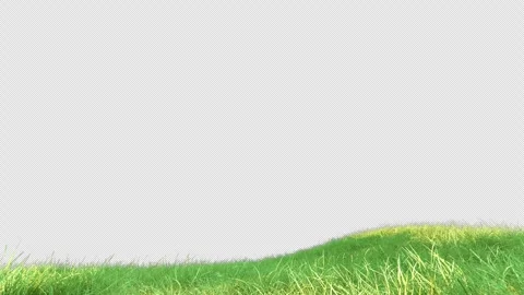 Grass wind loop on alpha Stock Footage 270291820