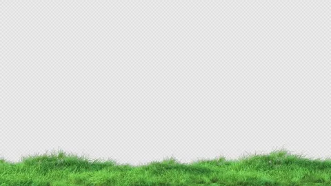 Grass wind loop on alpha Stock Footage 280176314