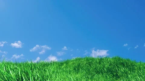 Grass Wind Loop on Blue Sky Stock Footage 276209263