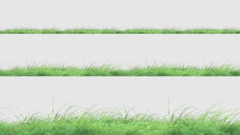 Grass Wind Loop Continue Stock Footage 276521290