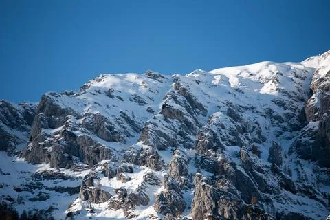 Grass in the wind Stock Photos