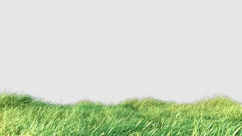 Grass Wind  Seamless Loop Stock Footage 234277045