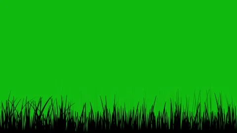 Grass in the Wind Silhouette 4K Loop Stock Footage 259848878