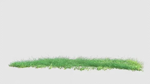 Grass wind slow loop on alpha Stock Footage 263171688