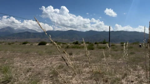 Grass in wind on southern shore of Issyk-Kul, Kyrgyzstan, 4K Stock Footage 342033545