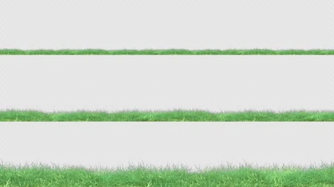 Grass wind strong loop on alpha Stock Footage 263175344