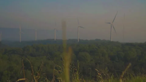 Grass on windy and blurred wind turbine on blue sky background Stock Footage 258978871
