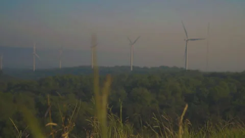 Grass on windy and blurred wind turbine on blue sky background Stock Footage 258979508