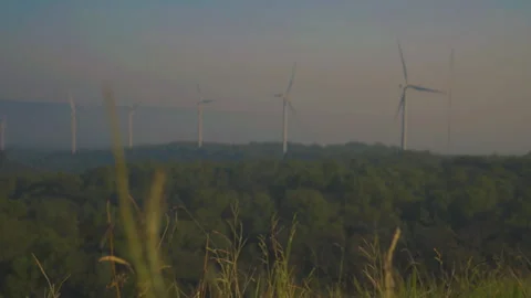 Grass on windy and blurred wind turbine on blue sky background Stock Footage 258979641
