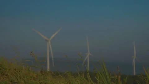 Grass on windy and blurred wind turbine on blue sky background Stock Footage 258980606