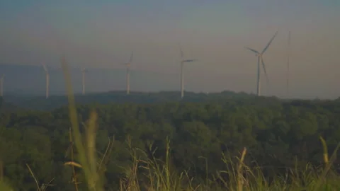 Grass on windy and blurred wind turbine on blue sky background Stock Footage 258981202