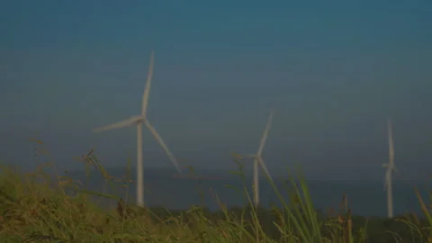 Grass on windy and blurred wind turbine on blue sky background Stock Footage 258981211