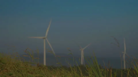 Grass on windy and blurred wind turbine on blue sky background Stock Footage 258981272