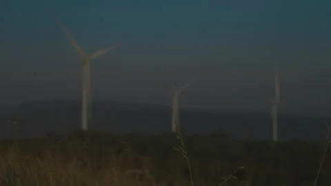 Grass on windy and blurred wind turbine on blue sky background Stock Footage 258984105