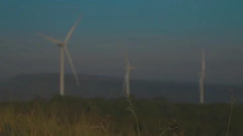 Grass on windy and blurred wind turbine on blue sky background Stock Footage 258985223