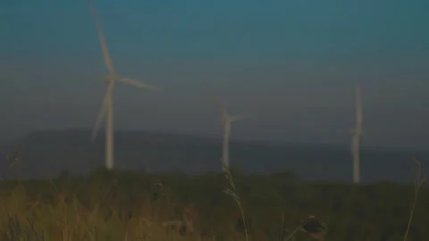 Grass on windy and blurred wind turbine on blue sky background Stock Footage 258985703