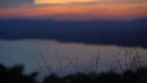 Grass on windy of blurred sunset sky and lake background Stock Footage 257783908