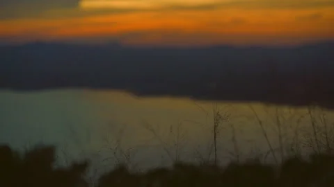 Grass on windy of blurred sunset sky and lake background Stock Footage 257784680