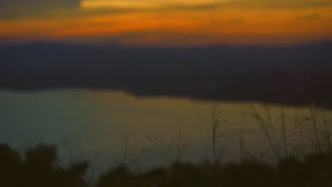 Grass on windy of blurred sunset sky and lake background Stock Footage 257784775