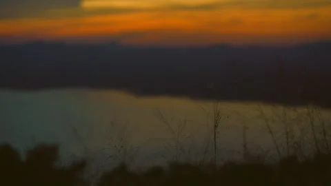 Grass on windy of blurred sunset sky and lake background Stock Footage 257784806