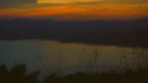 Grass on windy of blurred sunset sky and lake background Stock Footage 257784855