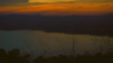 Grass on windy of blurred sunset sky and lake background Stock Footage 257784978