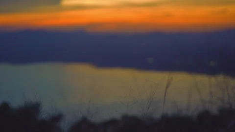 Grass on windy of blurred sunset sky and lake background Stock Footage 257785251