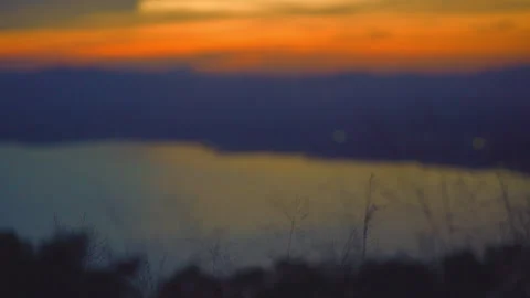 Grass on windy of blurred sunset sky and lake background Stock Footage 257785328