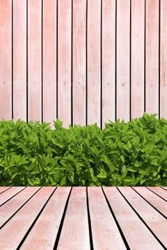 Grass on wood background Stock Photos