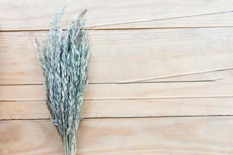 Grass on wood texture background Stock Photos
