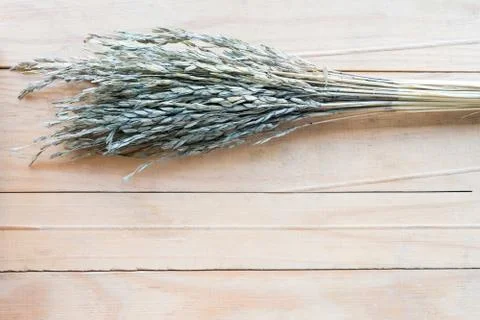 Grass on wood texture background Stock Photos