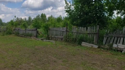 Grass in the yard against the backdrop of an old fence Stock Footage 310794386