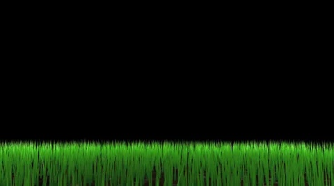 Grass1 스톡 동영상 33065162