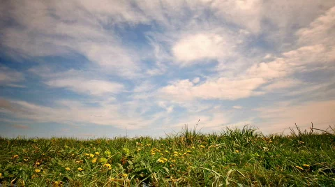Grass_under_the_sky Stock Footage 683425