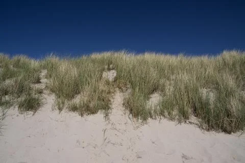 Grasscovered side Stock Photos